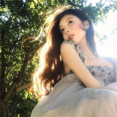 鸡犬不宁